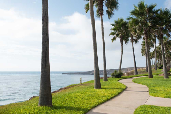 Slider image (4) Experience Ibogaine Treatment Center